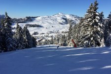 201412_201501_saisies 42